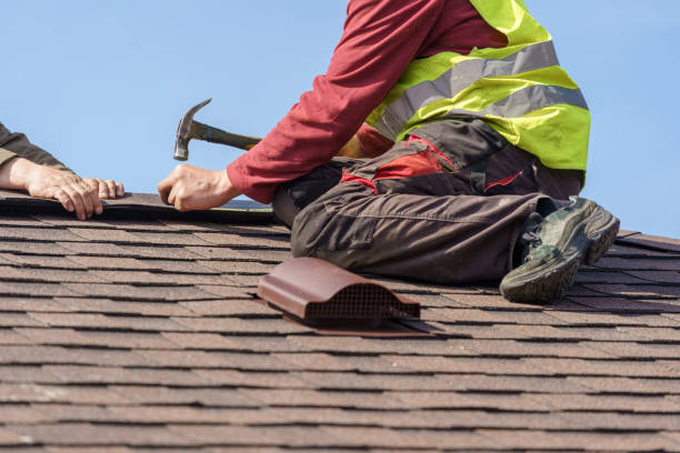 Best Roof Gutter Cleaning  in Stafford Courthouse, VA