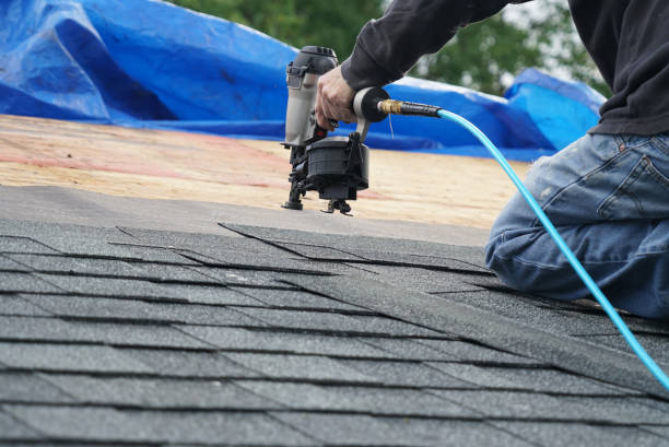 Best Storm Damage Roof Repair  in Stafford Courthouse, VA