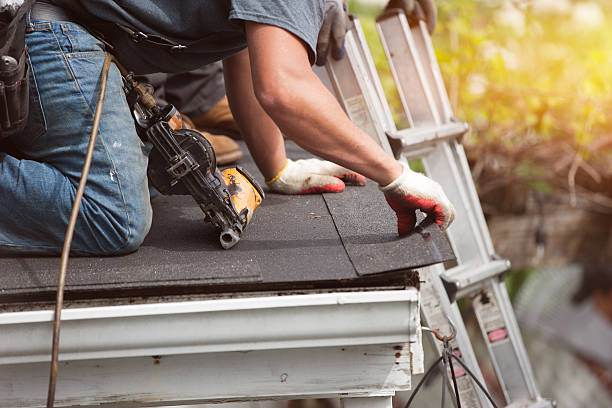 Best Metal Roofing Contractor  in Stafford Courthouse, VA